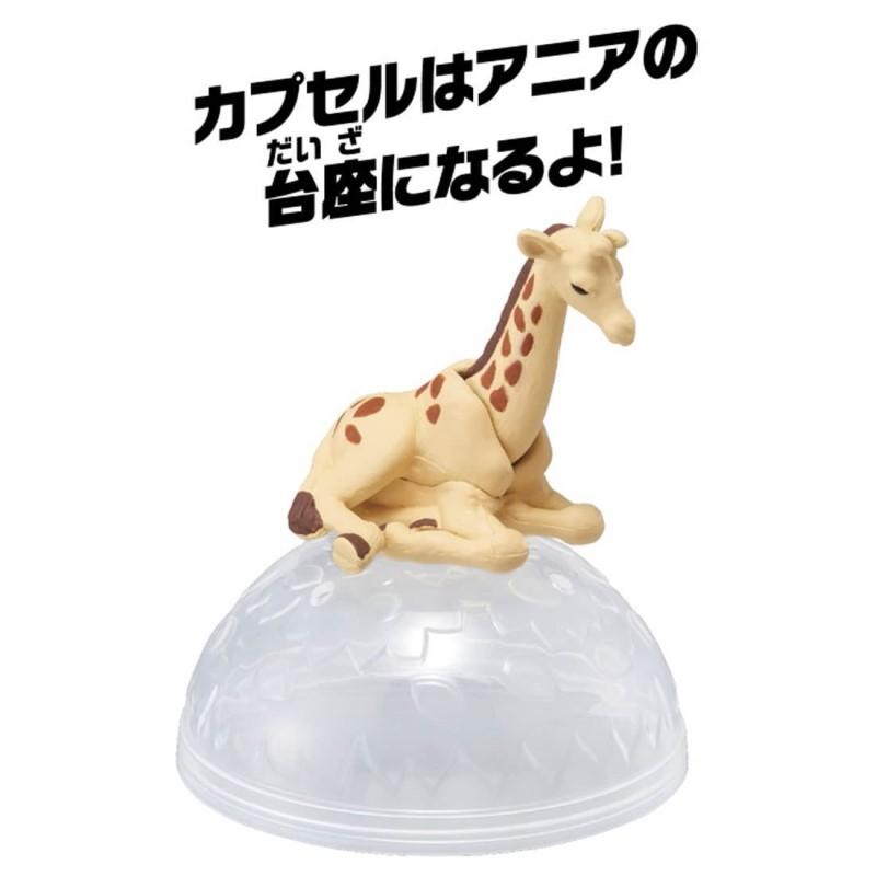 Takara