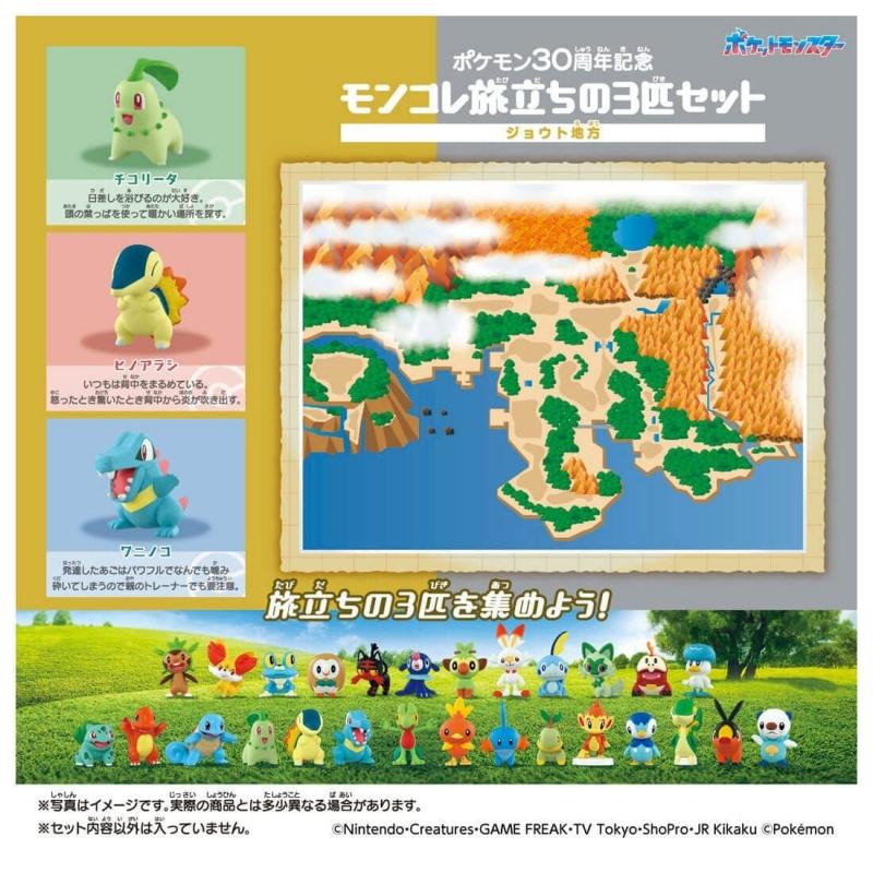 POKEMON